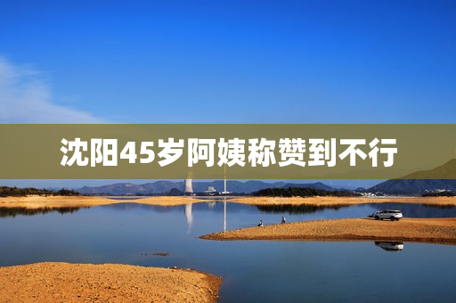 沈阳45岁阿姨称赞到不行