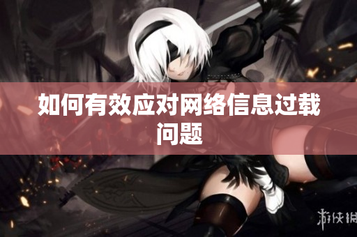 如何有效应对网络信息过载问题