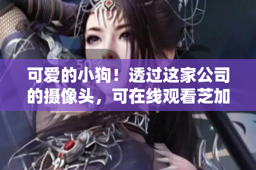 可爱的小狗！透过这家公司的摄像头，可在线观看芝加哥的风景。