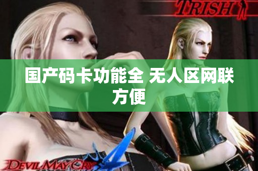 国产码卡功能全 无人区网联方便