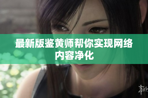 最新版鉴黄师帮你实现网络内容净化