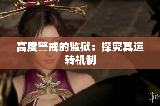 高度警戒的监狱：探究其运转机制