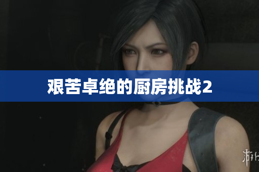 艰苦卓绝的厨房挑战2