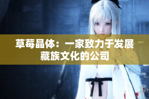 草莓晶体：一家致力于发展藏族文化的公司