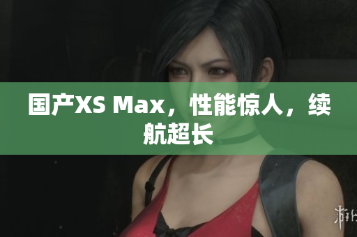 国产XS Max，性能惊人，续航超长