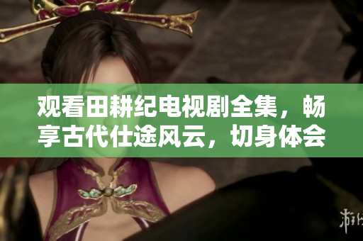 观看田耕纪电视剧全集，畅享古代仕途风云，切身体会历史人物的感人故事