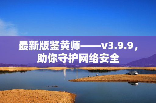 最新版鉴黄师——v3.9.9，助你守护网络安全