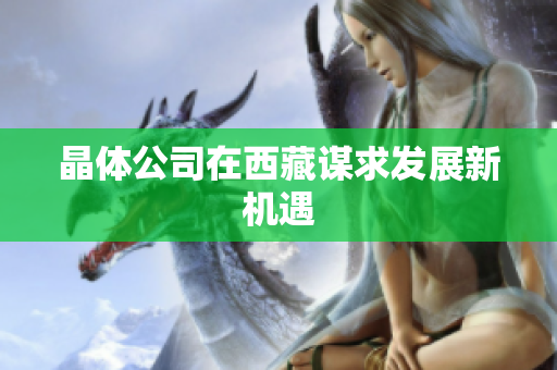 晶体公司在西藏谋求发展新机遇