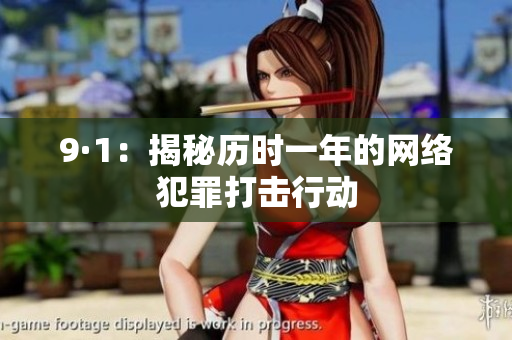 9·1：揭秘历时一年的网络犯罪打击行动