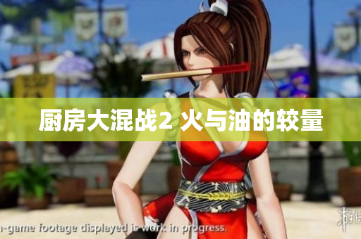 厨房大混战2 火与油的较量
