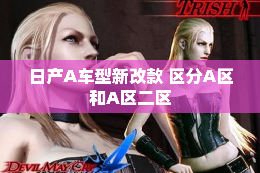 日产A车型新改款 区分A区和A区二区