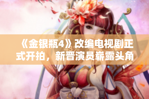 《金银瓶4》改编电视剧正式开拍，新晋演员崭露头角