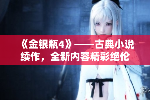 《金银瓶4》——古典小说续作，全新内容精彩绝伦