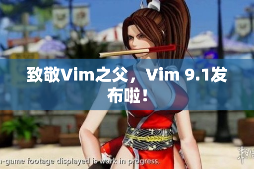 致敬Vim之父，Vim 9.1发布啦！