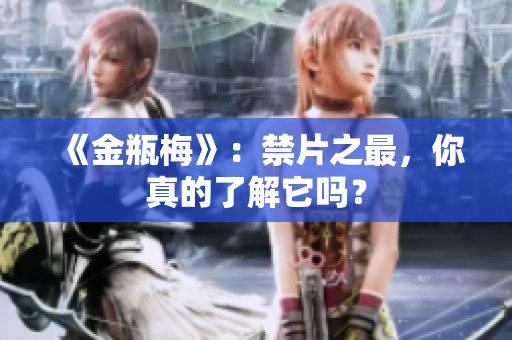 《金瓶梅》：禁片之最，你真的了解它吗？