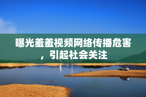 曝光羞羞视频网络传播危害，引起社会关注