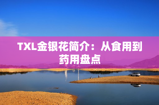 TXL金银花简介：从食用到药用盘点