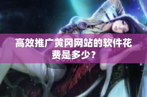 高效推广黄冈网站的软件花费是多少？