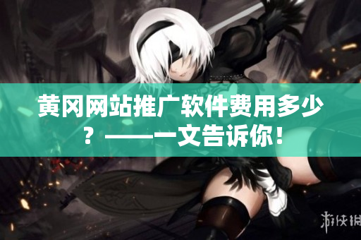 黄冈网站推广软件费用多少？——一文告诉你！
