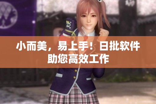 小而美，易上手！日批软件助您高效工作