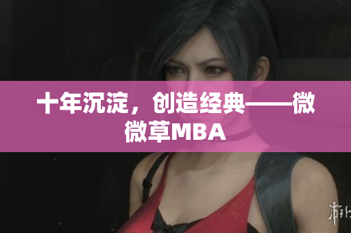十年沉淀，创造经典——微微草MBA