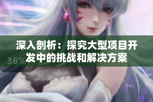 深入剖析：探究大型项目开发中的挑战和解决方案