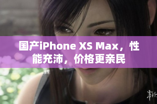 国产iPhone XS Max，性能充沛，价格更亲民