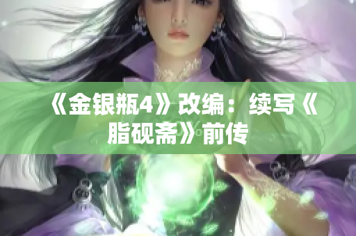《金银瓶4》改编：续写《脂砚斋》前传