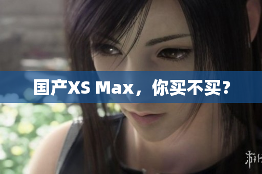 国产XS Max，你买不买？