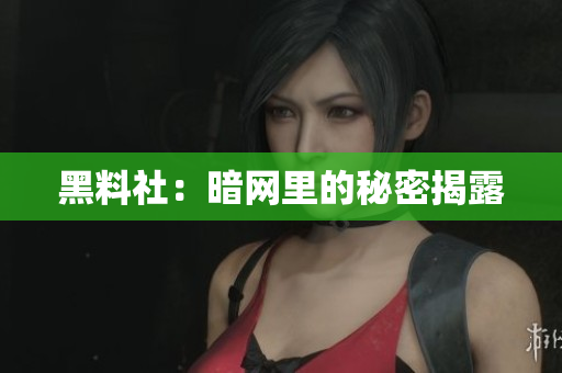黑料社：暗网里的秘密揭露