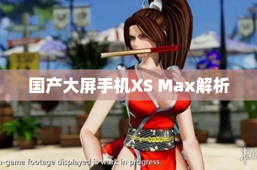 国产大屏手机XS Max解析