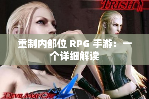 重制内部位 RPG 手游：一个详细解读