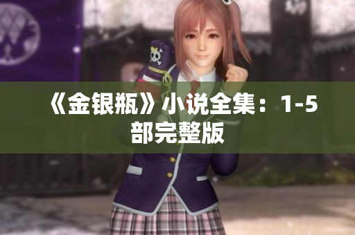 《金银瓶》小说全集：1-5部完整版