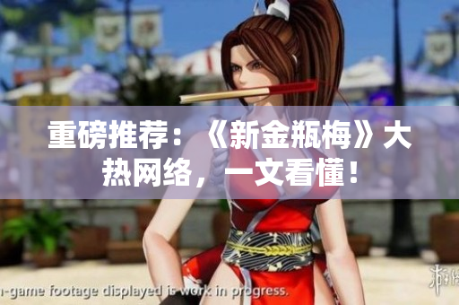 重磅推荐：《新金瓶梅》大热网络，一文看懂！
