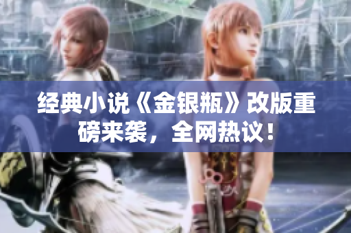经典小说《金银瓶》改版重磅来袭，全网热议！