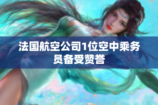 法国航空公司1位空中乘务员备受赞誉