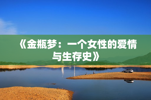 《金瓶梦：一个女性的爱情与生存史》