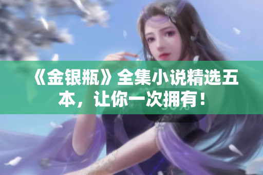 《金银瓶》全集小说精选五本，让你一次拥有！