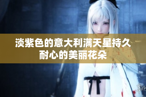 淡紫色的意大利满天星持久耐心的美丽花朵