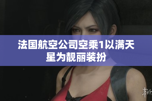 法国航空公司空乘1以满天星为靓丽装扮