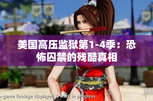 美国高压监狱第1-4季：恐怖囚禁的残酷真相