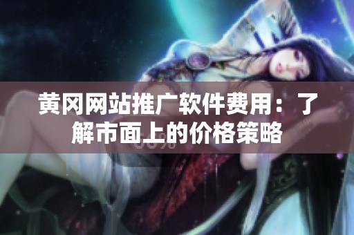 黄冈网站推广软件费用：了解市面上的价格策略