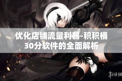 优化店铺流量利器-积积桶30分软件的全面解析