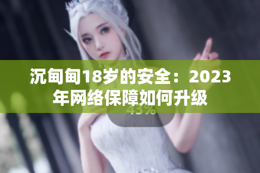 沉甸甸18岁的安全：2023年网络保障如何升级