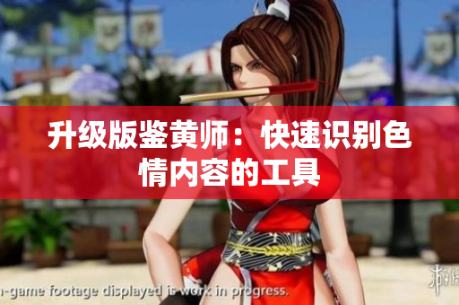 升级版鉴黄师：快速识别色情内容的工具