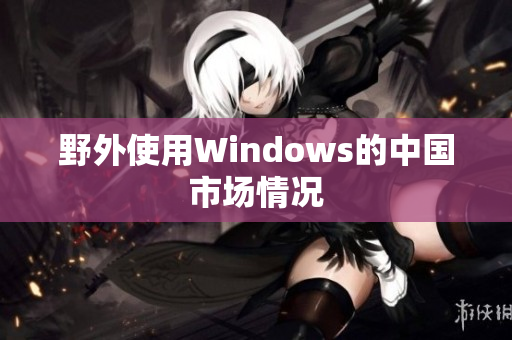 野外使用Windows的中国市场情况