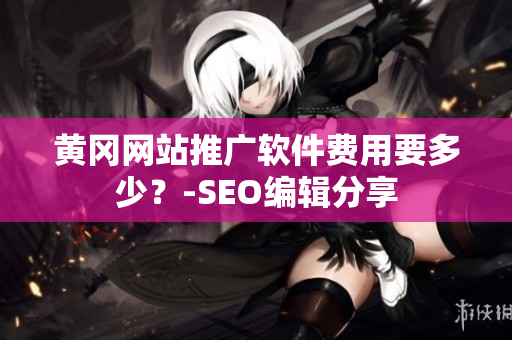 黄冈网站推广软件费用要多少？-SEO编辑分享