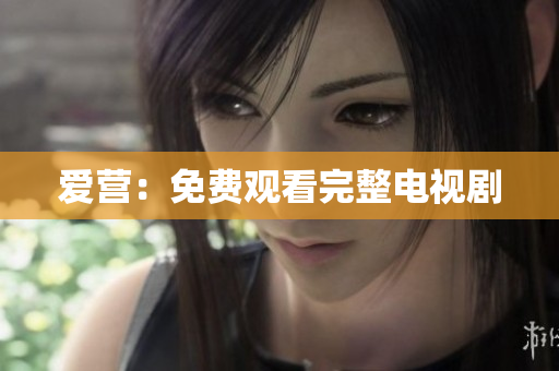 爱营：免费观看完整电视剧