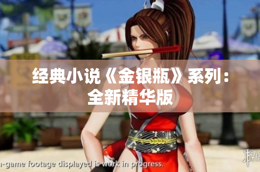 经典小说《金银瓶》系列：全新精华版