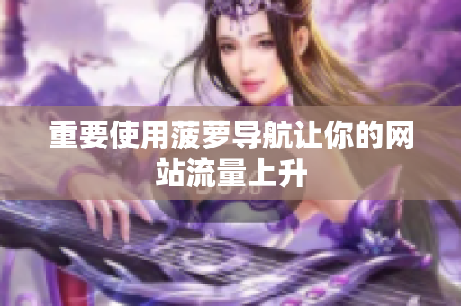 重要使用菠萝导航让你的网站流量上升
